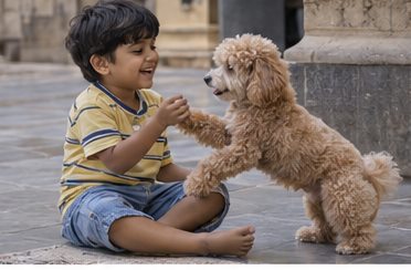 Illustration of people spending time with a Miniature Poodle at home or outdoors