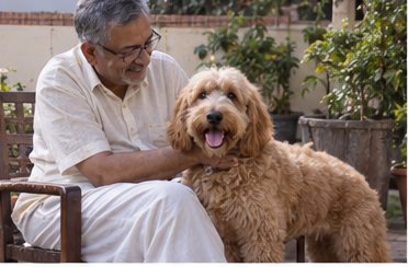 Illustration of people spending time with a Goldendoodle at home or outdoors