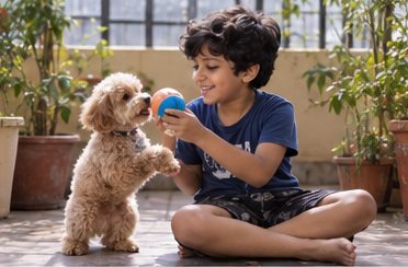 Illustration of people spending time with a Miniature Poodle at home or outdoors