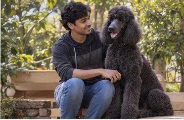 Illustration of people spending time with a Giant Poodle at home or outdoors