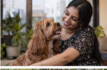 Illustration of people spending time with a Cockapoo at home or outdoors