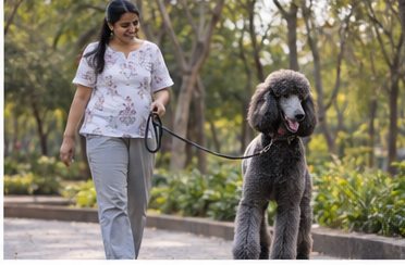 Illustration of people spending time with a Giant Poodle at home or outdoors