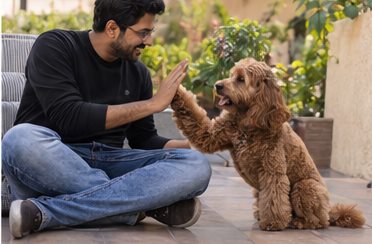 Illustration of people spending time with a Cockapoo at home or outdoors