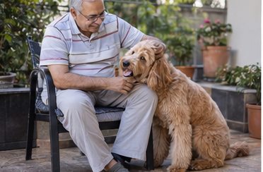 Illustration of people spending time with a Goldendoodle at home or outdoors