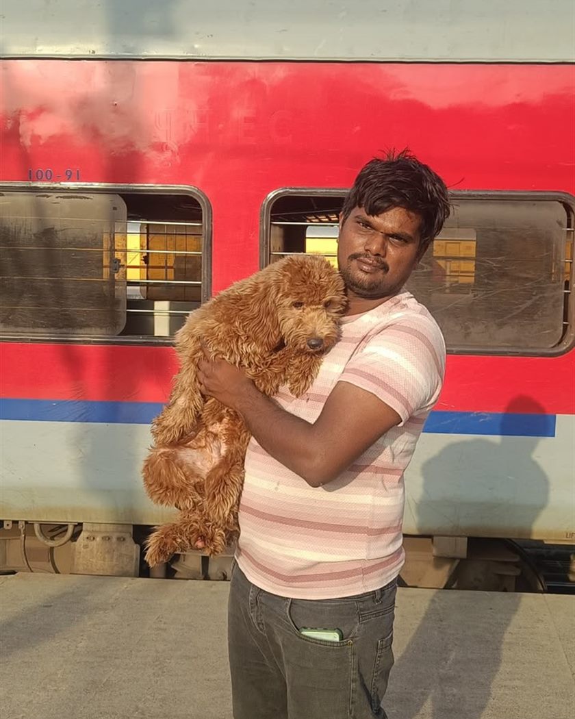 Owner carrying his apricot curly-coated puppy on a railway platform
