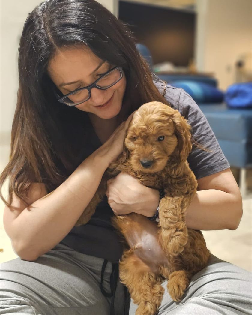 Owner cradling a small apricot curly-coated puppy on her lap in a living room