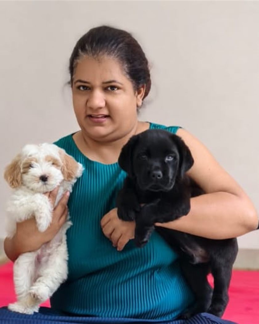 Owner holding two puppies together, a cream curly-coated puppy and a black Labrador puppy